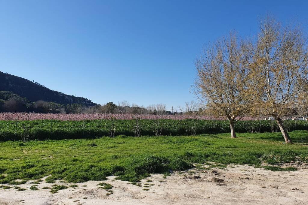 דירות סן פדרו דל פינטר Casa Pinatar מראה חיצוני תמונה